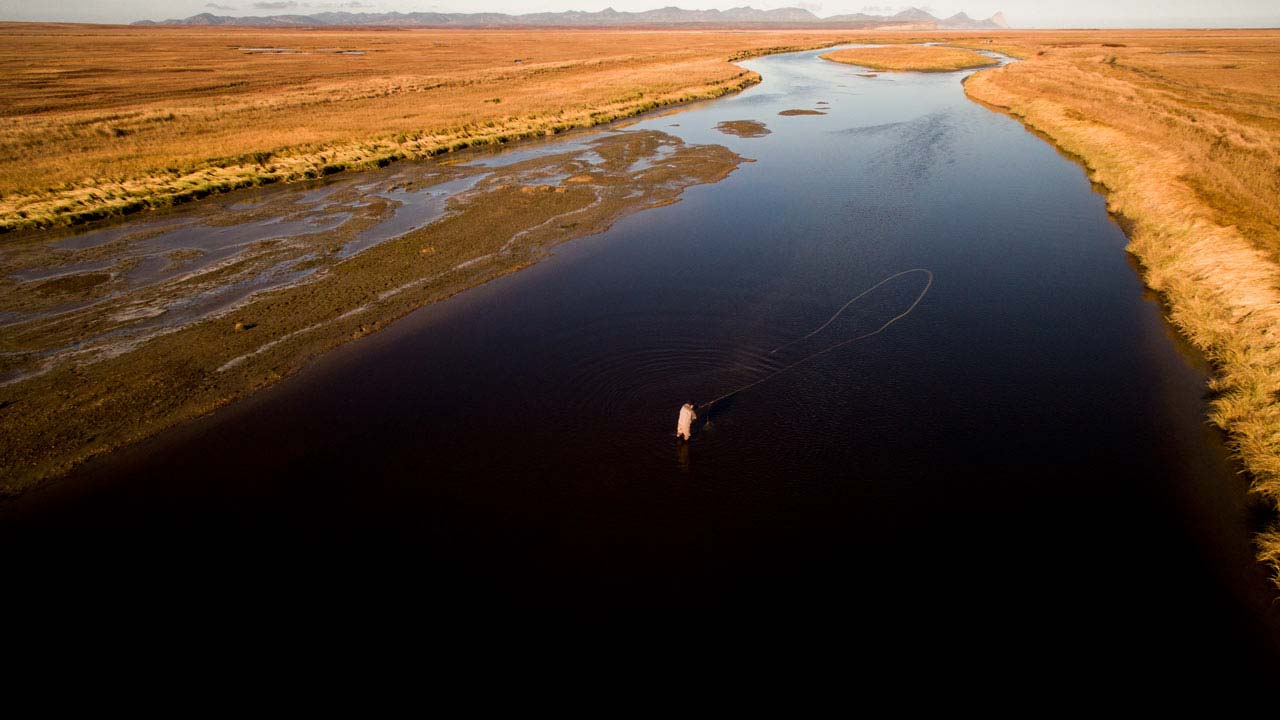 Kamchatka Steelhead Project