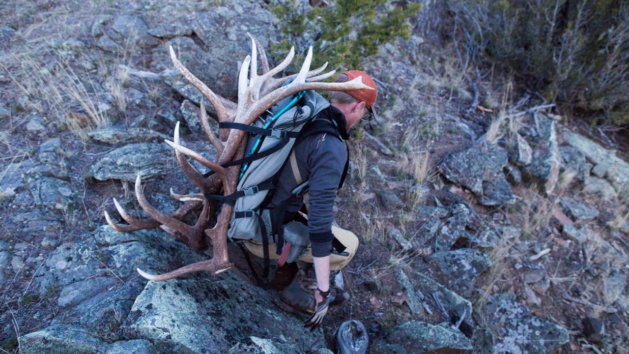 Shed Hunting