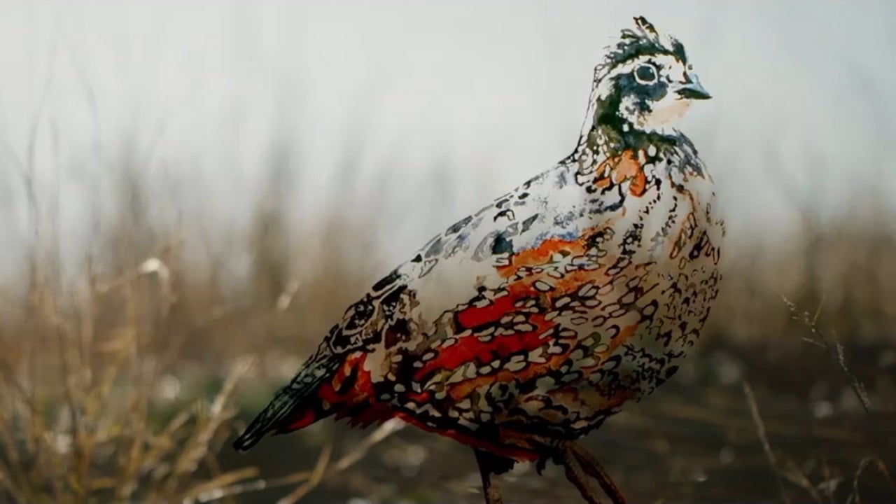 canary-of-the-prairie