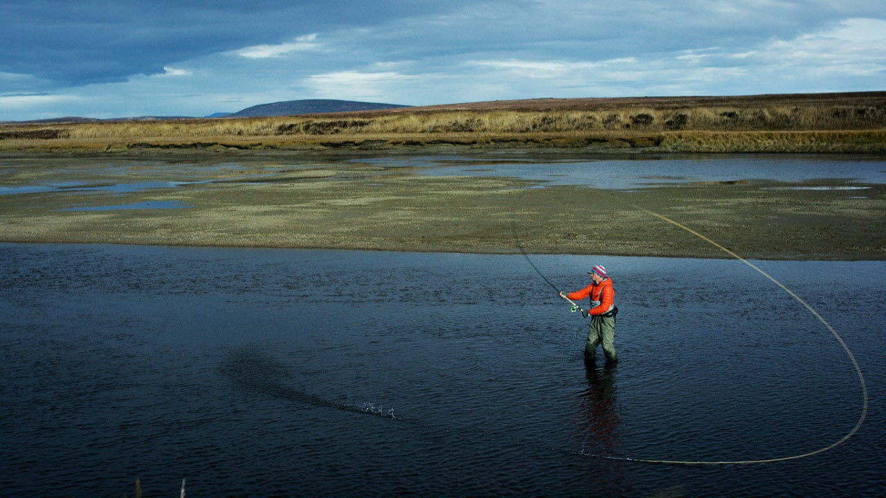 Kamchatka Steelhead Project