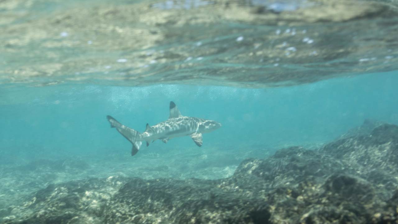 Samoa